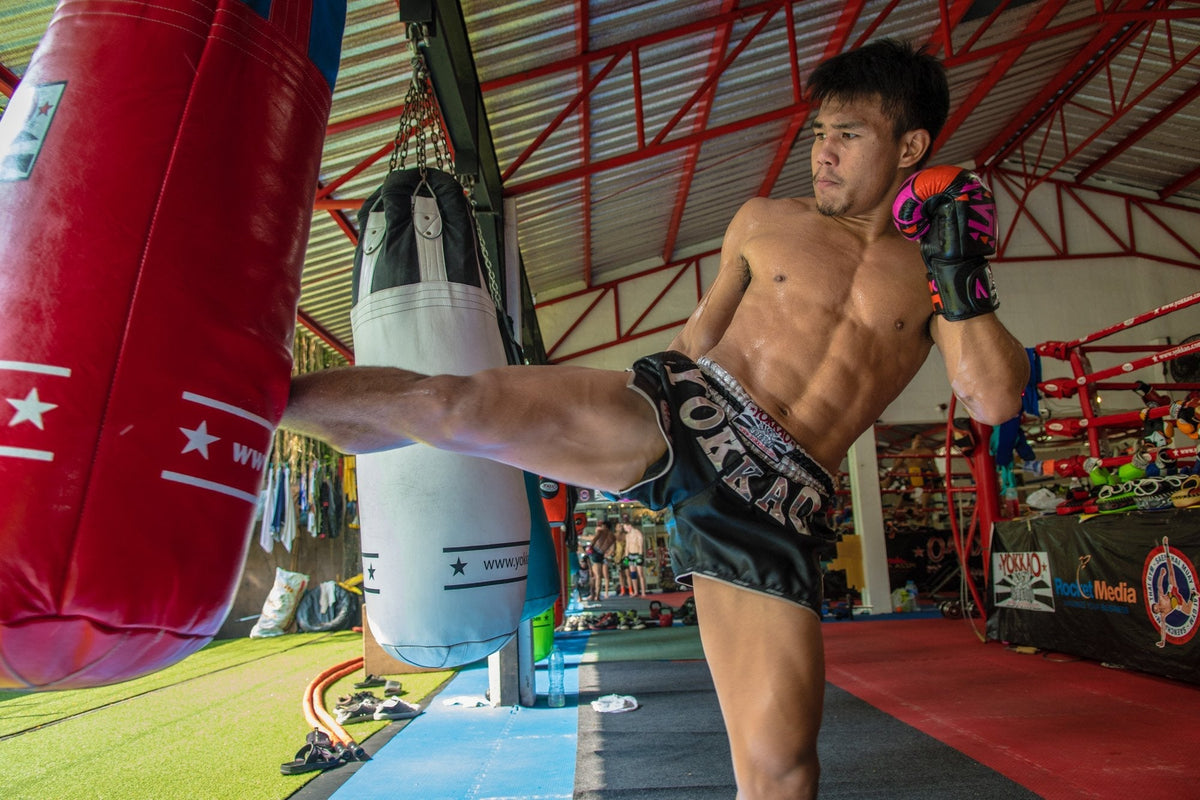 YOKKAO Next Generation Goes to Southampton UK!-Yokkao Thailand Store