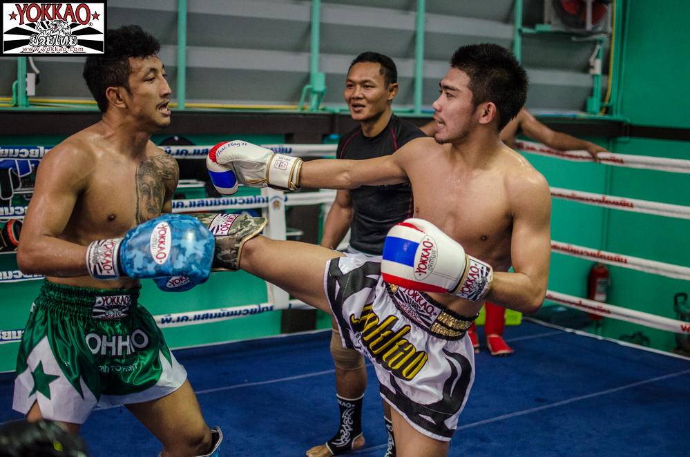 5 Elements to Effective Sparring in Muay Thai-Yokkao Thailand Store
