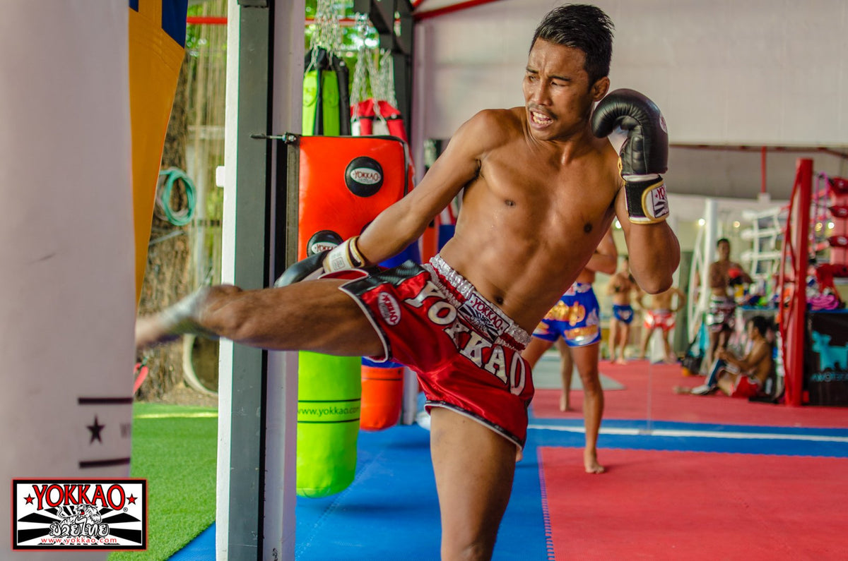 Singdam added to the YOKKAO US Seminar Tour!-Yokkao Thailand Store