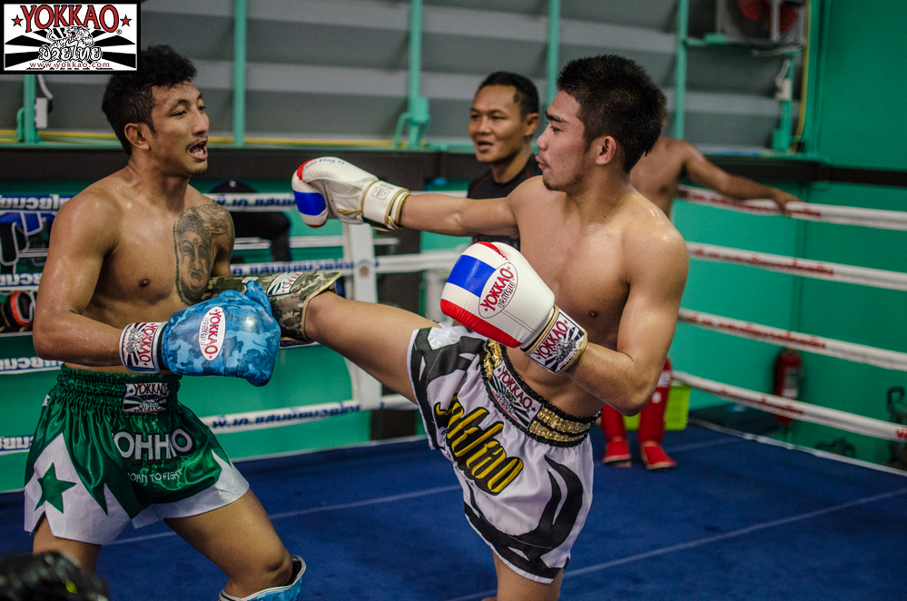 Pakorn cancels all his fights in Thailand in preparation to defend the YOKKAO World Title at YOKKAO 13!-Yokkao Thailand Store