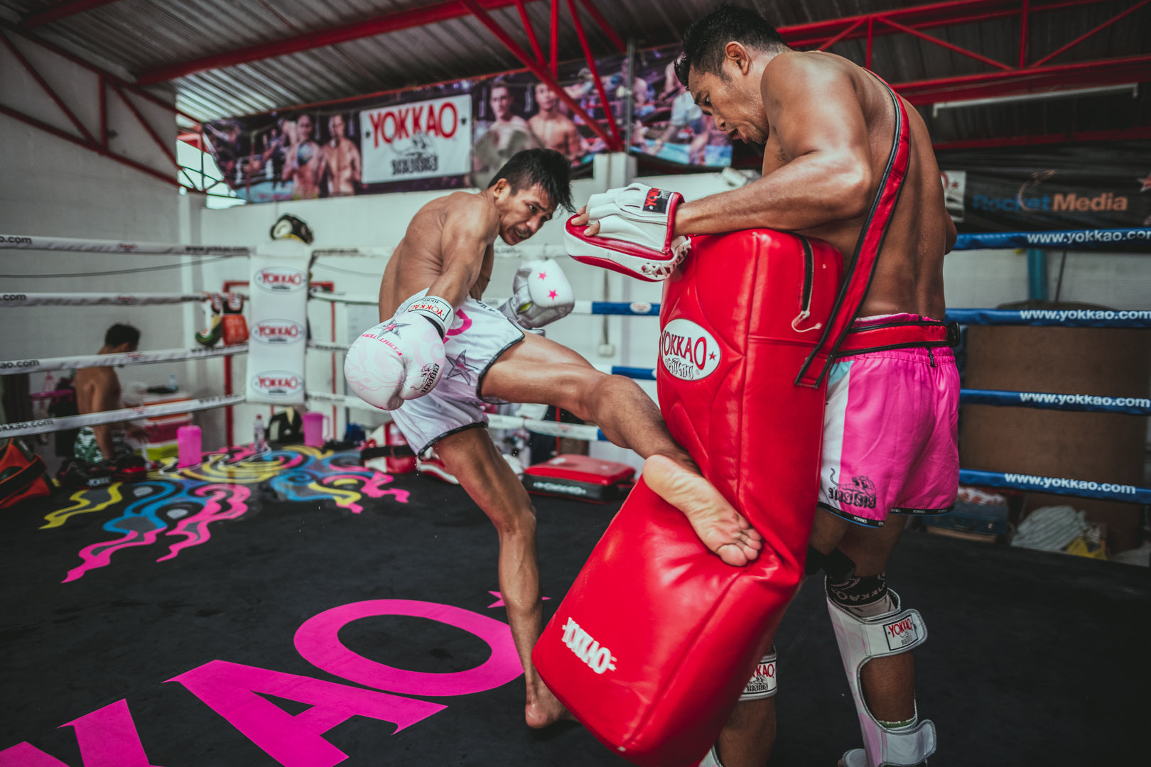 All About Muay Thai Low Kicks