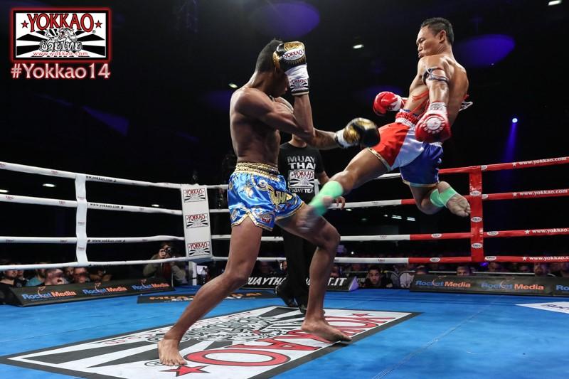 YOKKAO 14 - YOKKAO 15 Quick Results-Yokkao Thailand Store