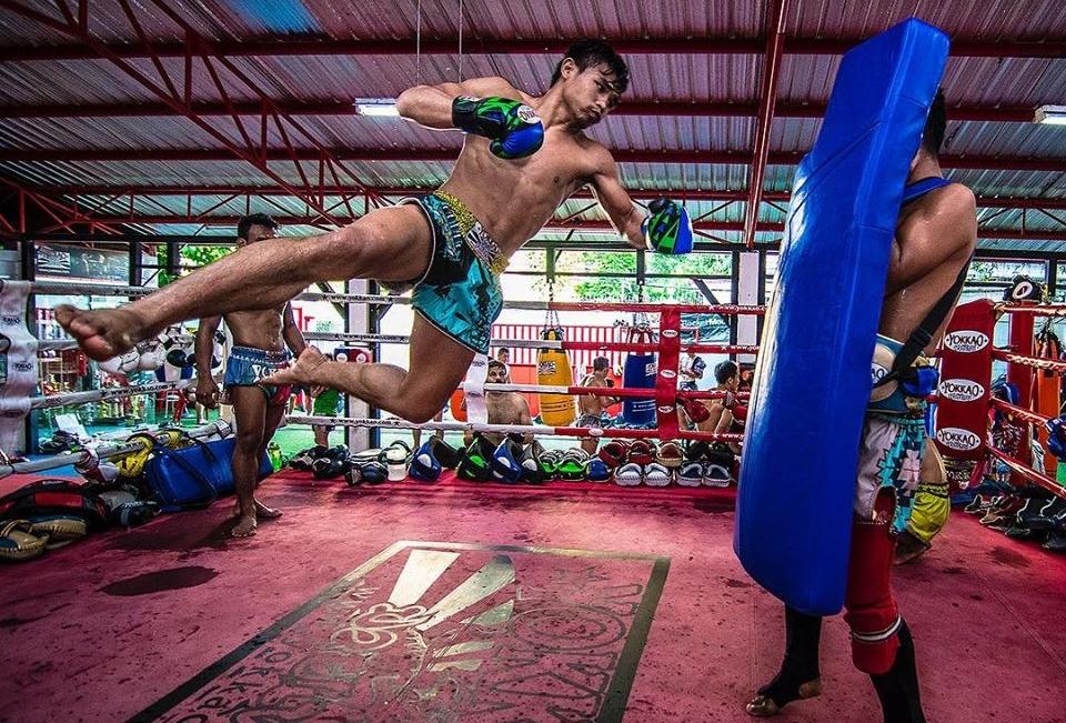 YOKKAO Introduces The All-New & Original Bomber Pad-Yokkao Thailand Store