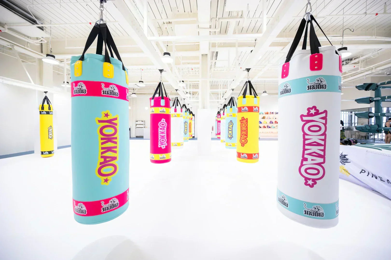 YOKKAO | Pineapple MMA: Setting the New Global Standard for Muay Thai Gyms-Yokkao Thailand Store