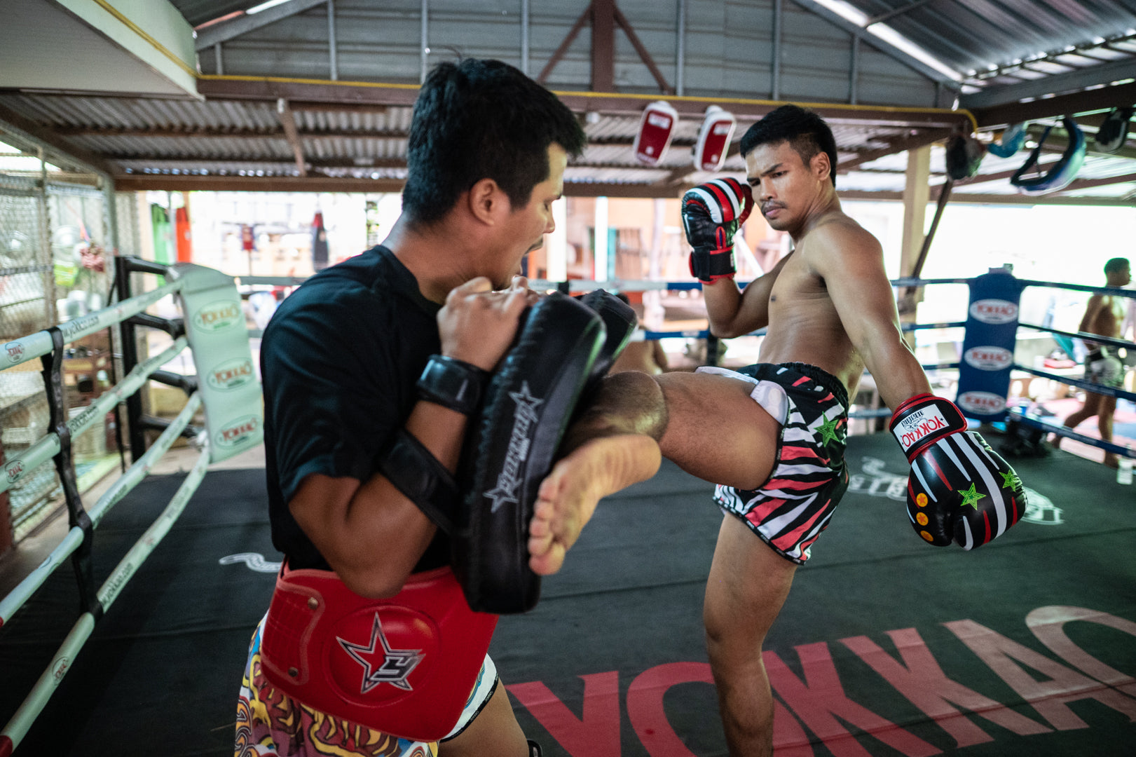 YOKKAO To Offer Sponsorship Package To Upcoming Fighters-Yokkao Thailand Store