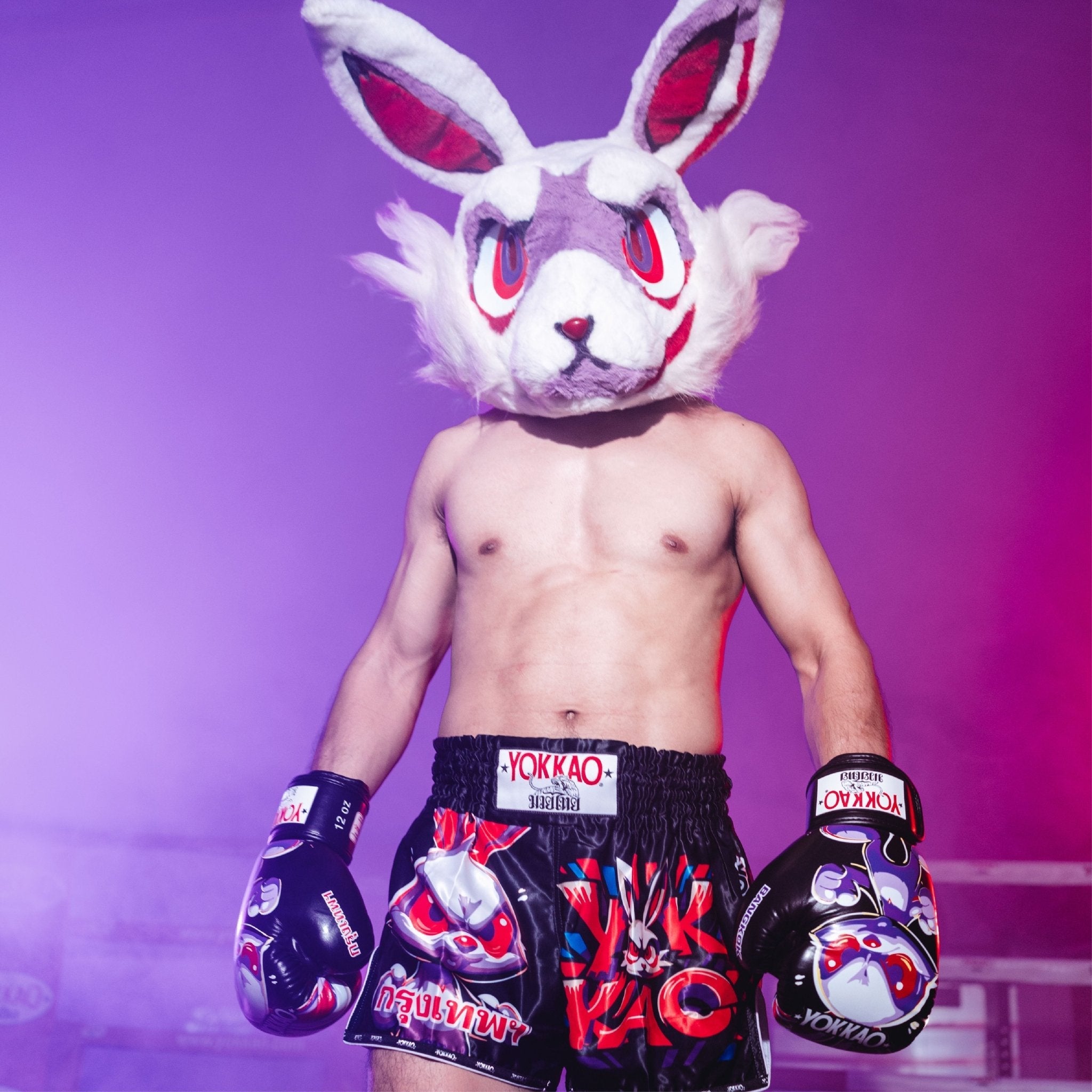 Angry Rabbit Muay Thai Shorts-shorts-carbonfit-new-XS-Black-YOKKAO