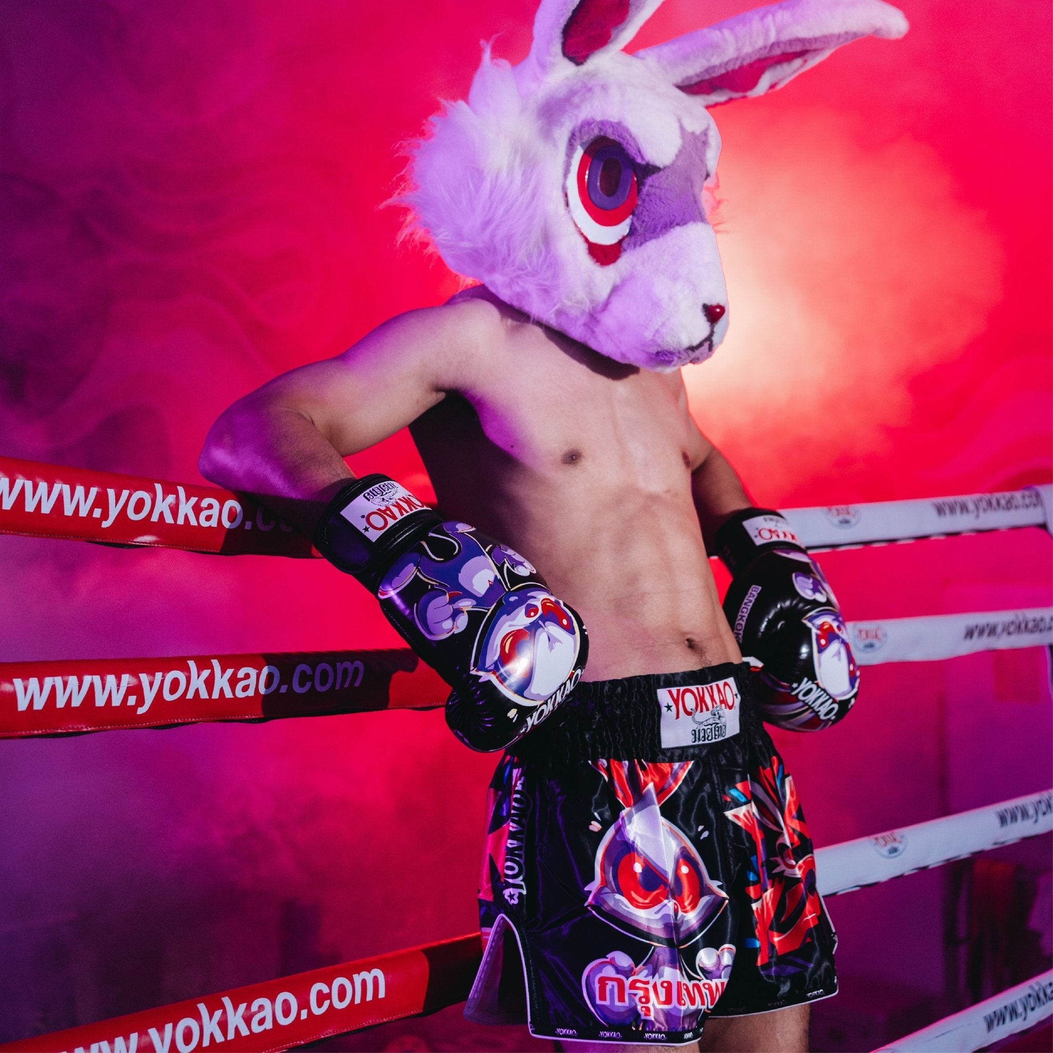Angry Rabbit Muay Thai Shorts-shorts-carbonfit-new-XS-Black-YOKKAO
