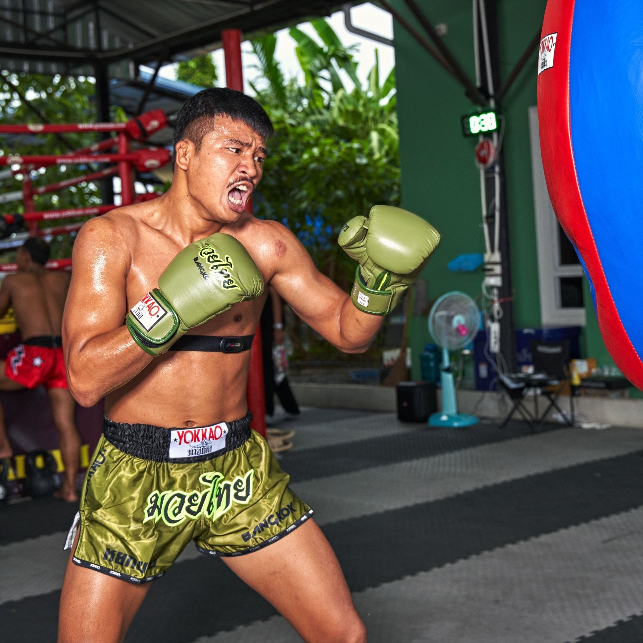 Late Show Muay Thai Shorts-shorts-carbonfit-new-XS-Olive-YOKKAO