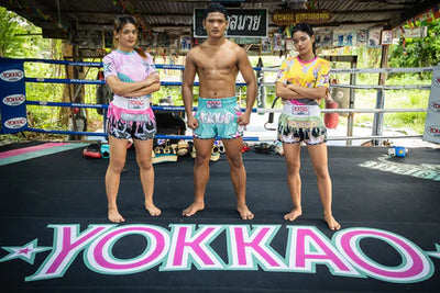 Kicking Boxing Promo Image