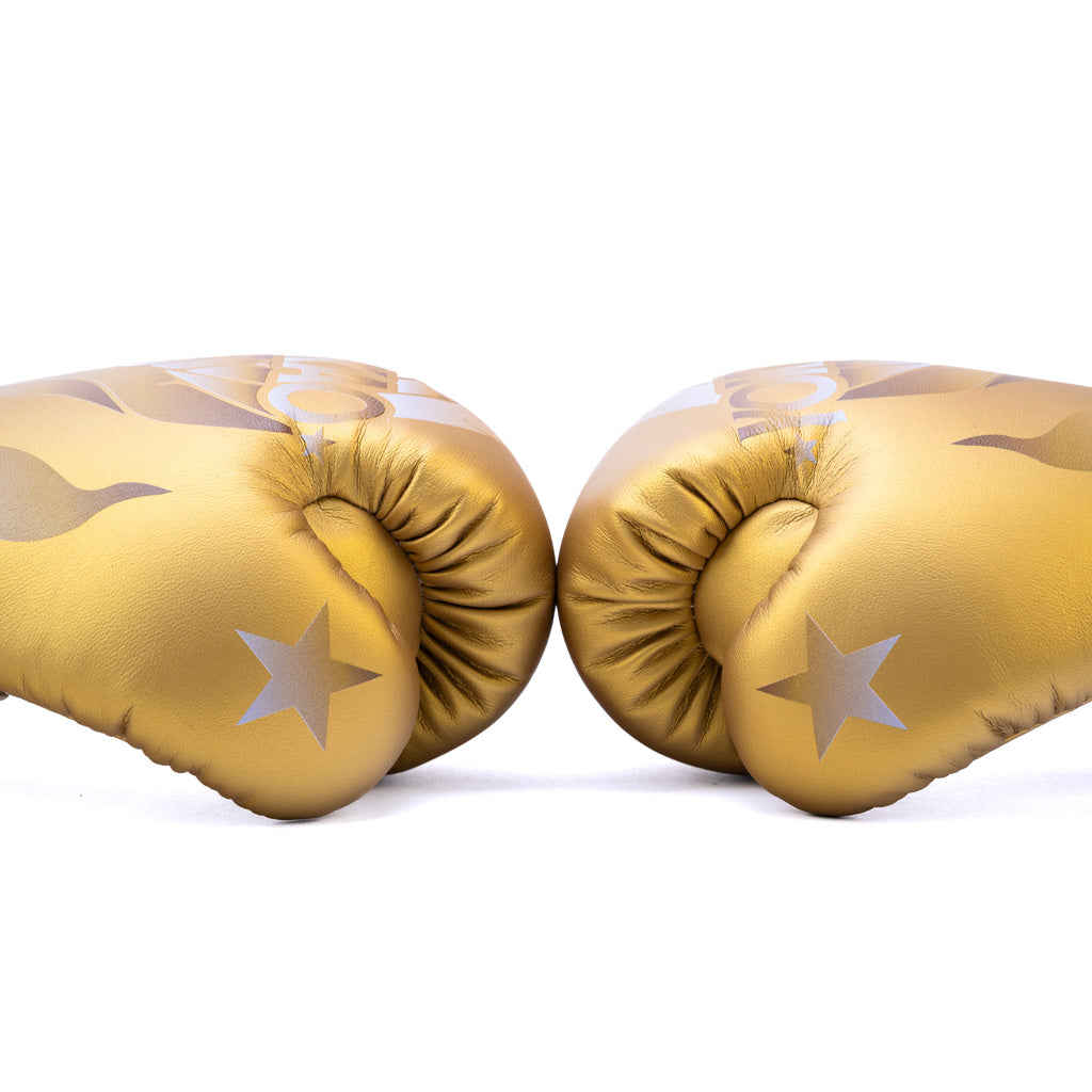 The Flame Boxing Gloves