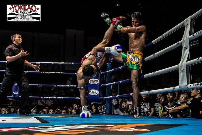 Muay Thai Training Scene
