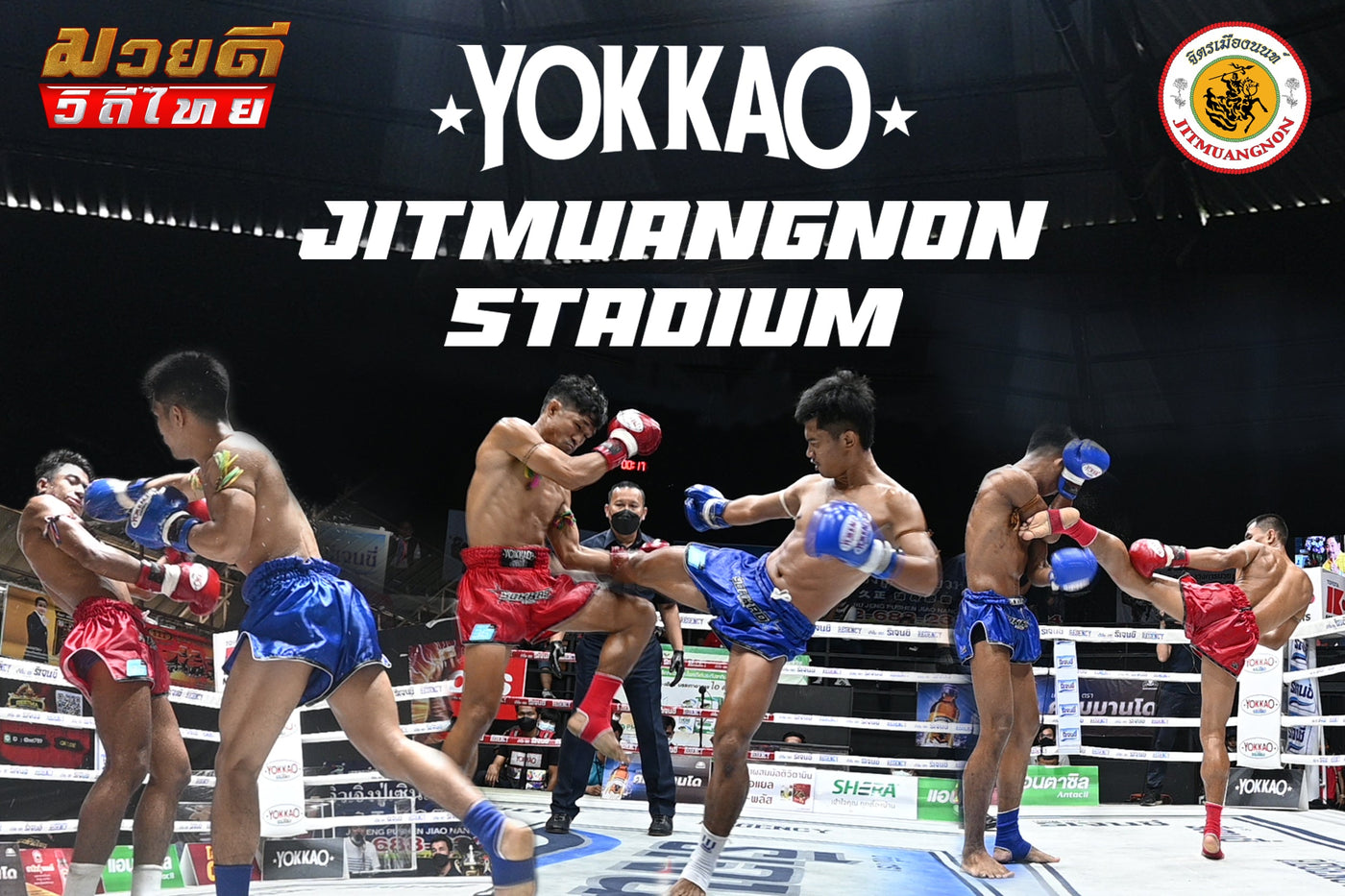 Muay Thai Fighter Singdam