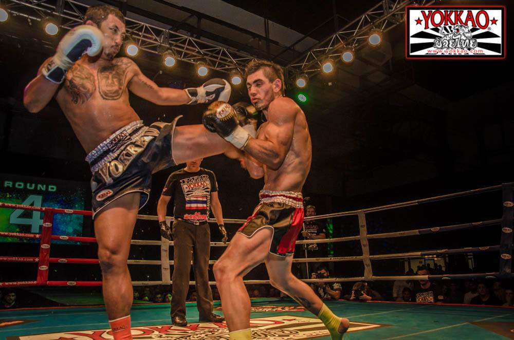 YOKKAO 16 hits Argentina!-Yokkao Thailand Store
