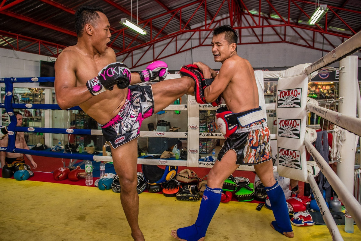 YOKKAO Seminar with Saenchai Confirmed for Canada in April!-Yokkao Thailand Store