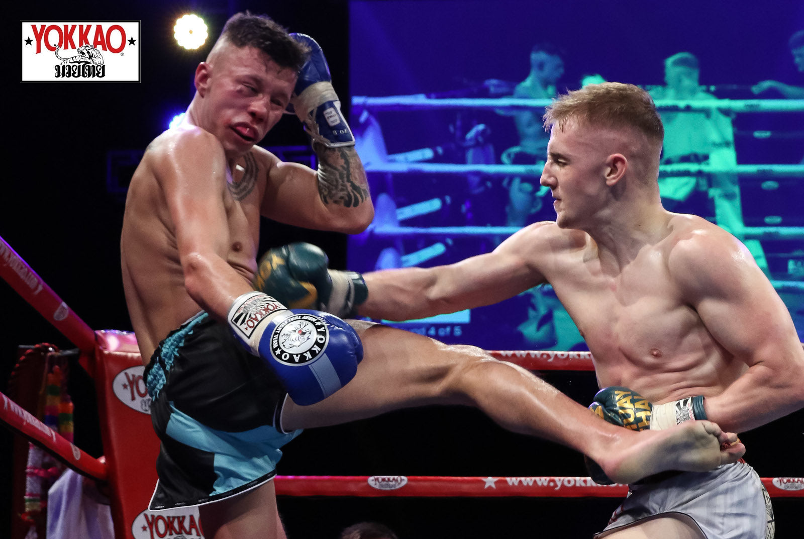 Muay Thai Styles Explained: Muay Mat-Yokkao Thailand Store