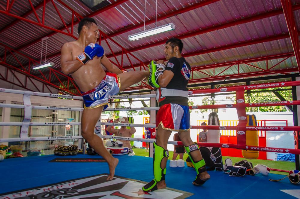 YOKKAO headed to USA with Saenchai in January/February 2017!-Yokkao Thailand Store