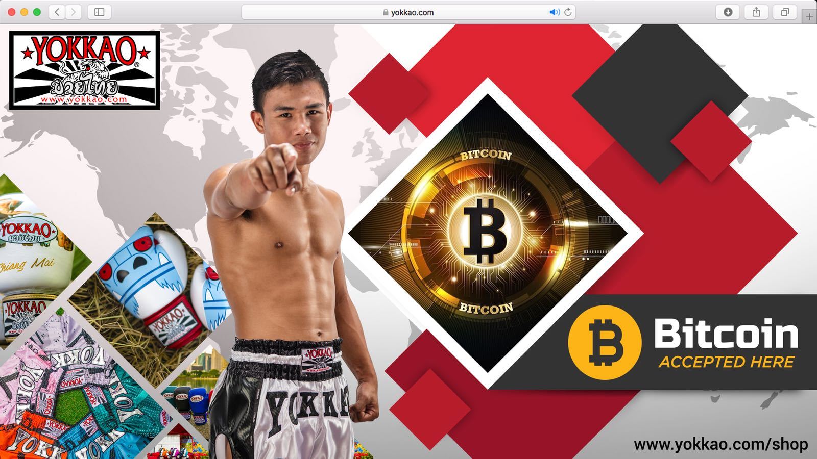 YOKKAO Now Accepts Bitcoin Payment!