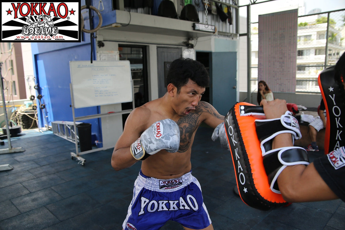 YOKKAO Breaking into the Market with Latest Innovation to Kicking Pads!-Yokkao Thailand Store