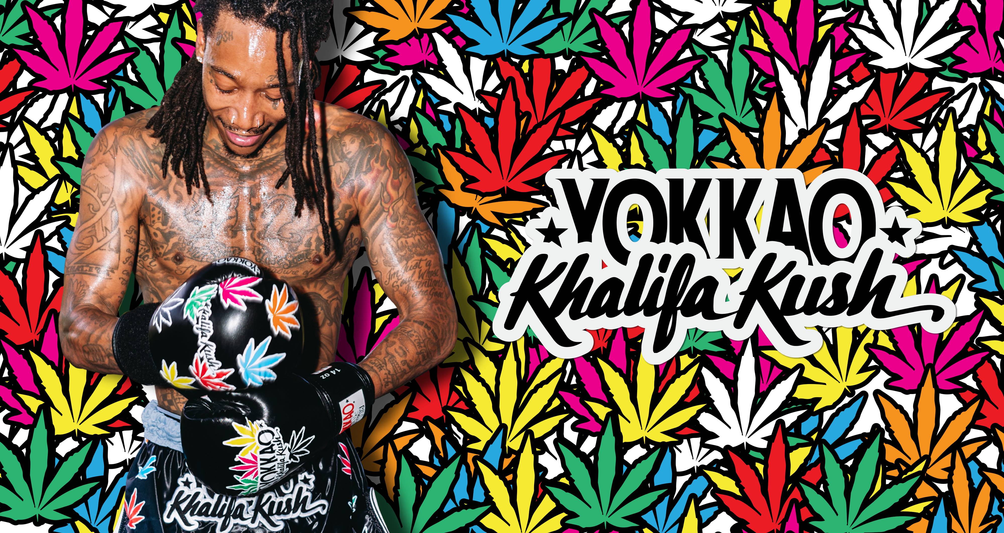 Yokkao Store | YOKKAO TH