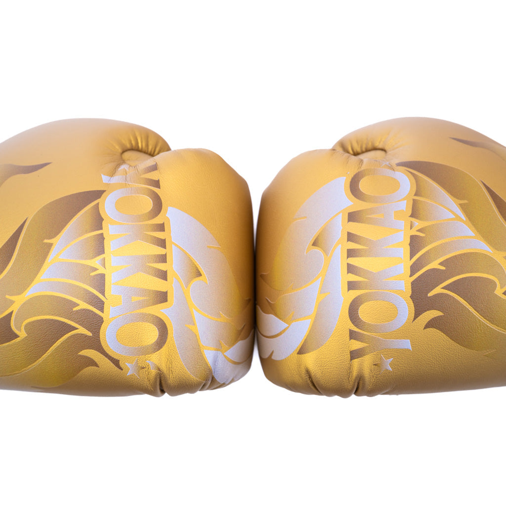 The Flame Boxing Gloves