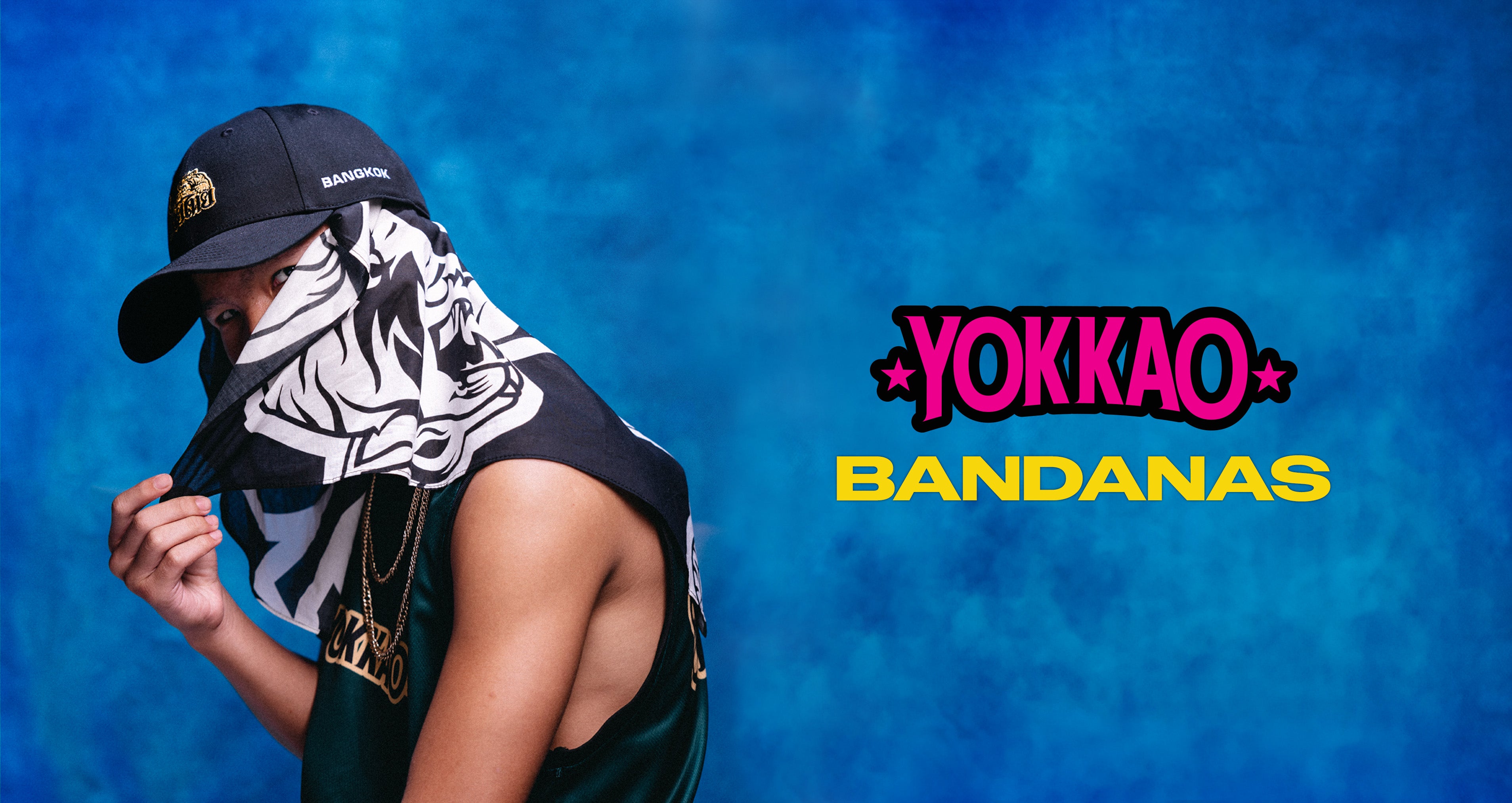 YOKKAO TH | Premium Muay Thai Gear, Equipment & Apparel - MMA